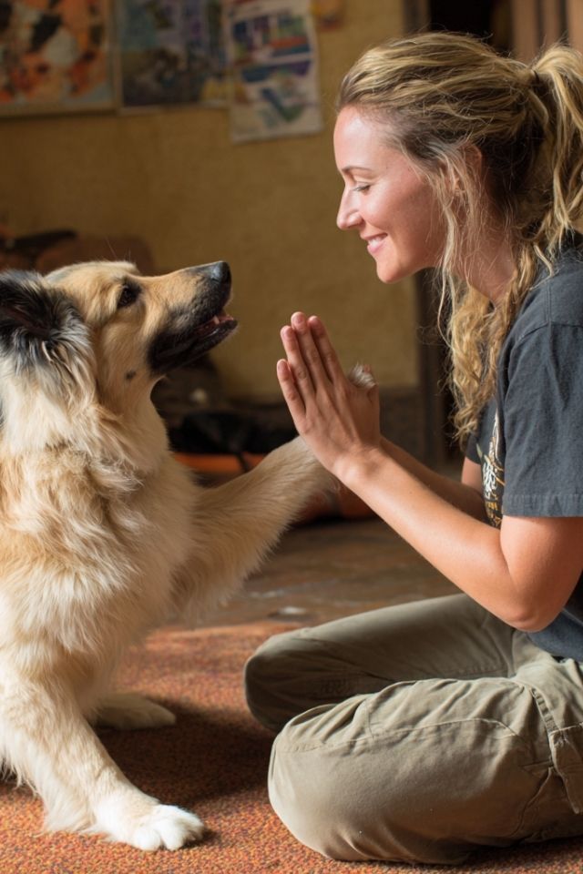 When Walls Become Bridges: The Intimate Journey of Apartment Dogs