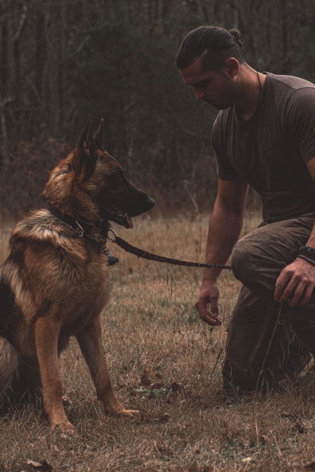 When the Leash Becomes a Battleground